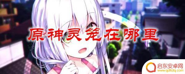 原神那笼 原神灵笼在哪个地点