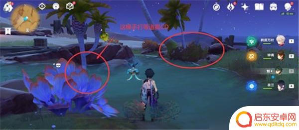 柽木采集原神 原神柽木快速采集技巧