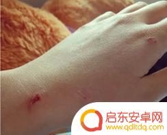 如何说服拿手机 怎样说服老师允许带手机进课堂