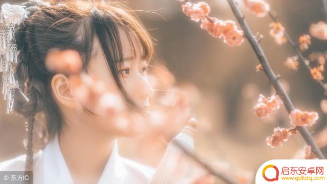 抖音文案古风爱情(抖音文案古风)