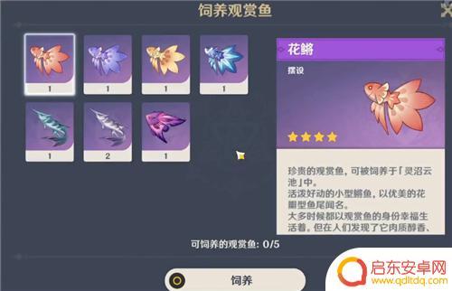 原神 养鱼 原神观赏鱼怎么养好