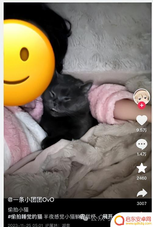 她竟因涉赌可能面临牢狱之灾？