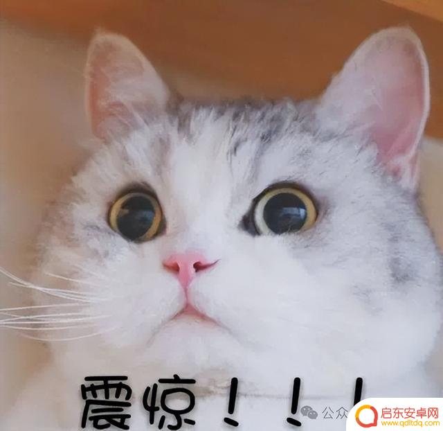 她竟因涉赌可能面临牢狱之灾？