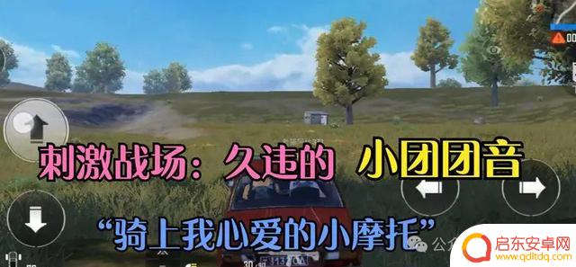 她竟因涉赌可能面临牢狱之灾？