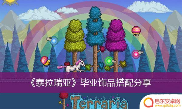 泰拉瑞亚配饰搭配技巧 泰拉瑞亚毕业饰品搭配攻略