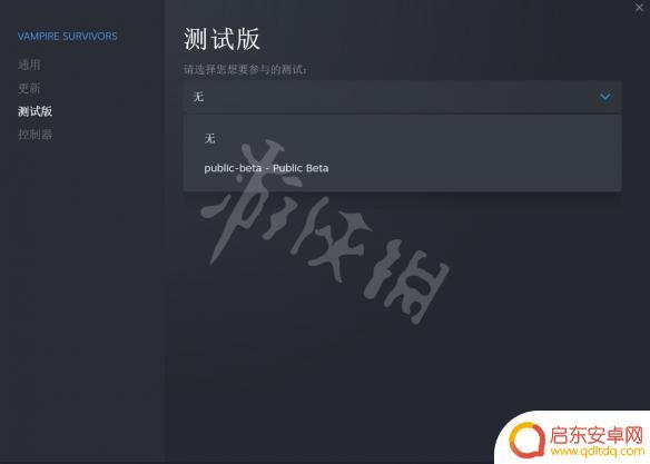 steam吸血鬼幸存者怎么设置中文 吸血鬼幸存者中文语言设置