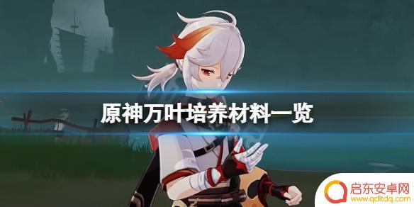 原神万叶天赋升级材料一览 《原神》万叶培养材料怎么获得