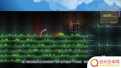 泰拉瑞亚花朵袋 泰拉瑞亚花苞探测器怎么用