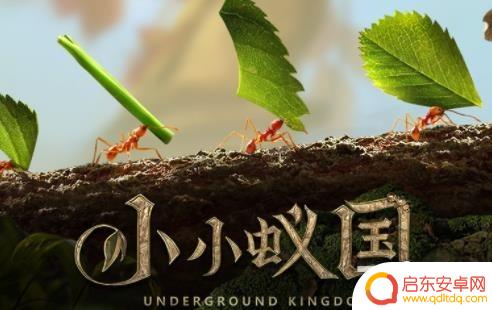 小小蚁国如何变现 小小蚁国搬砖赚钱攻略分享