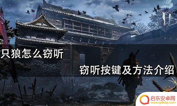 只狼影逝二度怎么窃听键盘 只狼窃听按键怎么使用