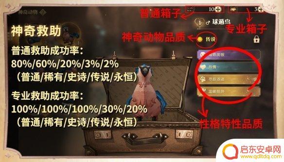 哈利波特魔法觉醒怎么开启沙漠调查 沙漠调查玩法攻略哈利波特魔法觉醒