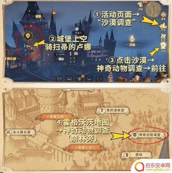 哈利波特魔法觉醒怎么开启沙漠调查 沙漠调查玩法攻略哈利波特魔法觉醒