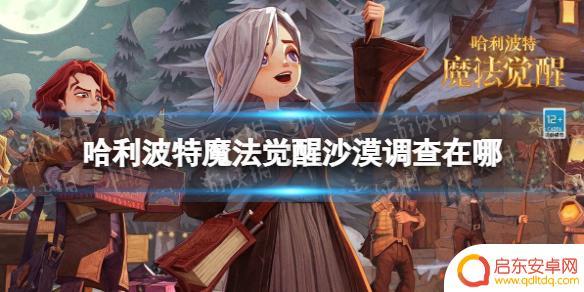 哈利波特魔法觉醒怎么开启沙漠调查 沙漠调查玩法攻略哈利波特魔法觉醒
