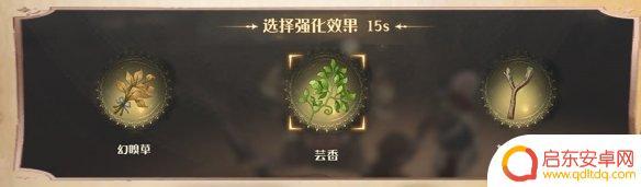 哈利波特魔法觉醒怎么开启沙漠调查 沙漠调查玩法攻略哈利波特魔法觉醒