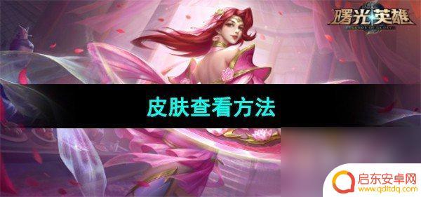 曙光英雄如何体验皮肤 《曙光英雄》皮肤购买指南
