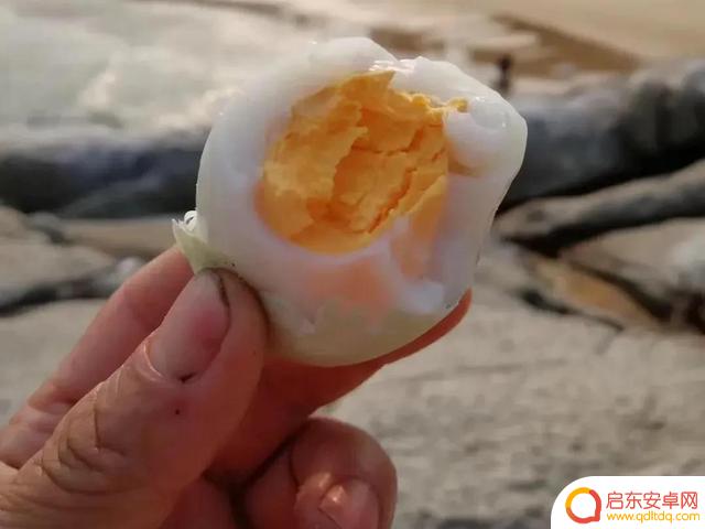 海边烧烤抖音句子(海边烧烤的文案)