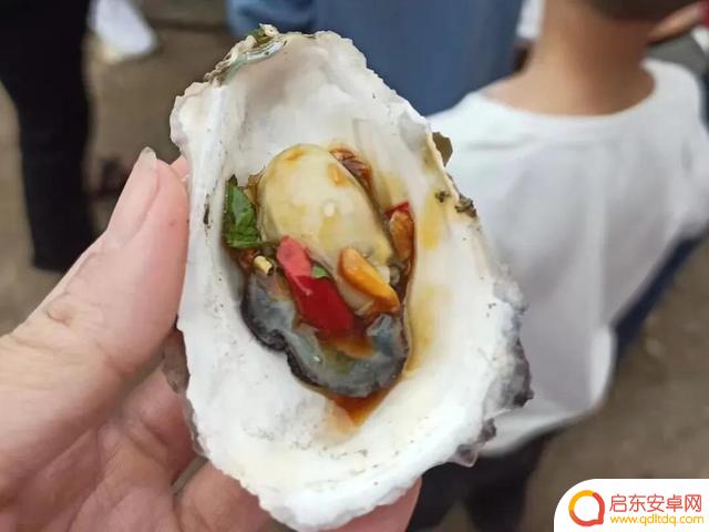 海边烧烤抖音句子(海边烧烤的文案)