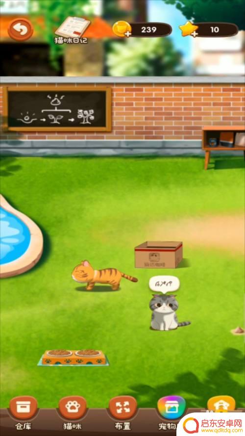 猫语咖啡怎么获得猫窝 猫语咖啡如何获得猫窝