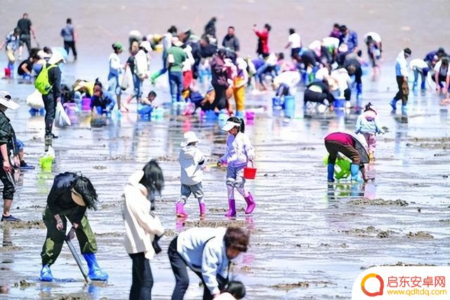筑牢生态防线,遏制“打野”乱象