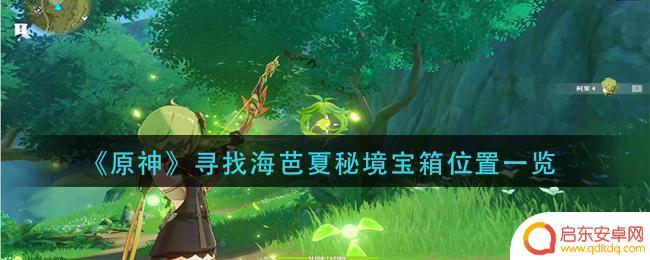 原神寻找海芭夏攻略 原神痼疾任务攻略