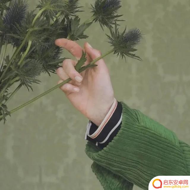 天津抖音句子大全(天津抖音文案)