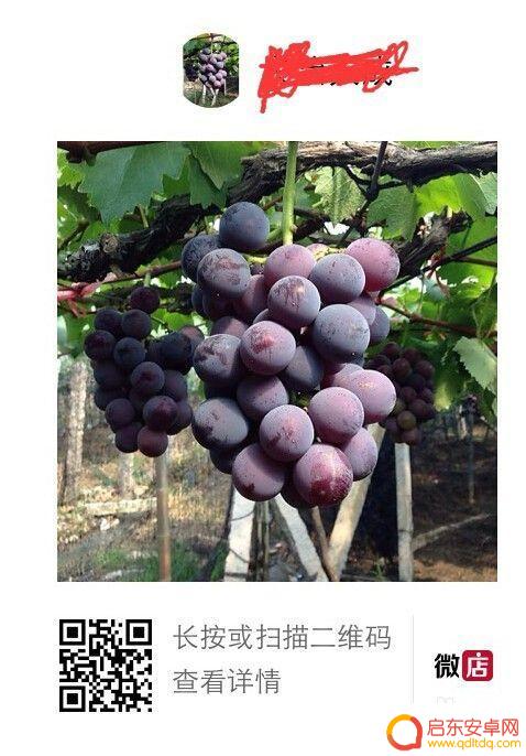手机扫二维码模糊如何修复清晰度 二维码放大后如何保持高清效果
