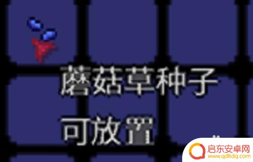 泰拉瑞亚松树蠕虫 泰拉瑞亚松露蠕虫捕捉方法