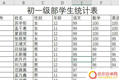 手机如何设置表格显示比例 Excel如何调整显示比例大小