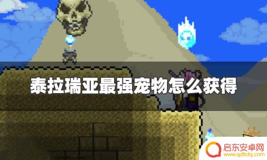泰拉瑞亚最实用的宠物 泰拉瑞亚最强宠物怎么获得及排名