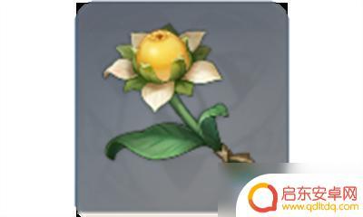 原神为什么甜甜花 甜甜花在《原神》中有什么用途