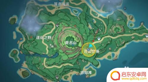 祭司怎么找原神队友？最佳方法揭秘