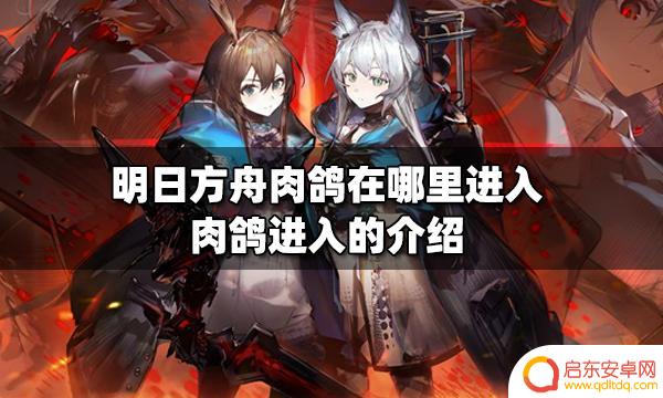 明日方舟肉鸽怎么去 明日方舟肉鸽进入位置介绍