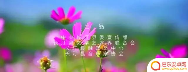 等你归来烟花抖音(等你归来烟花抖音bgm)