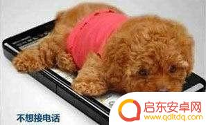 手机怎么设置拨打时无反应 如何在手机上设置拦截电话