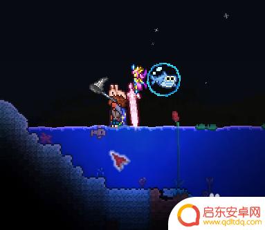 泰拉瑞亚金鲤鱼鱼缸 泰拉瑞亚鱼缸怎么搭建