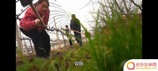 湖北大冶胖妹抖音(广西中兴建筑有限公司)