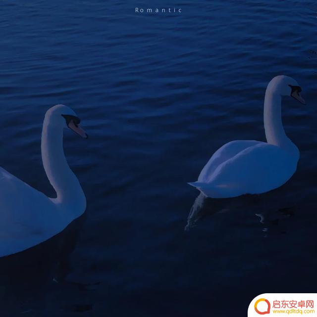 海边风景抖音头像(海边风景微信头像高清图片)