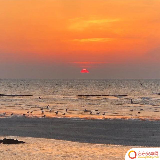 海边风景抖音头像(海边风景微信头像高清图片)
