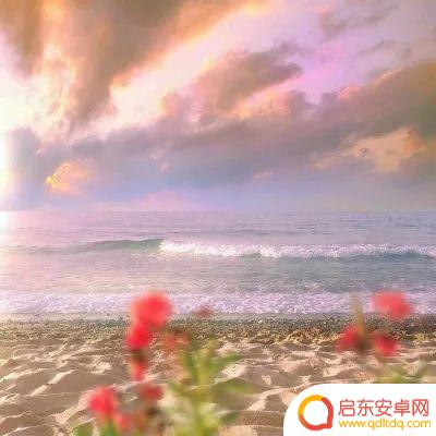 海边风景抖音头像(海边风景微信头像高清图片)