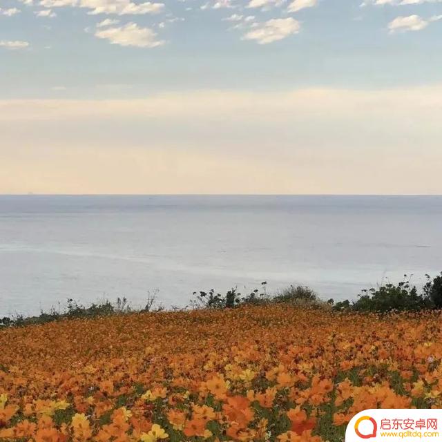 海边风景抖音头像(海边风景微信头像高清图片)