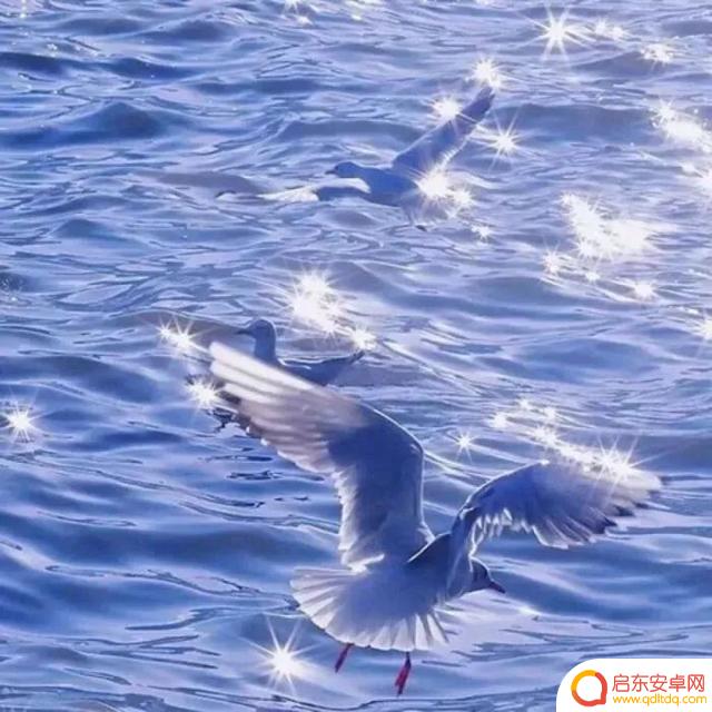 海边风景抖音头像(海边风景微信头像高清图片)