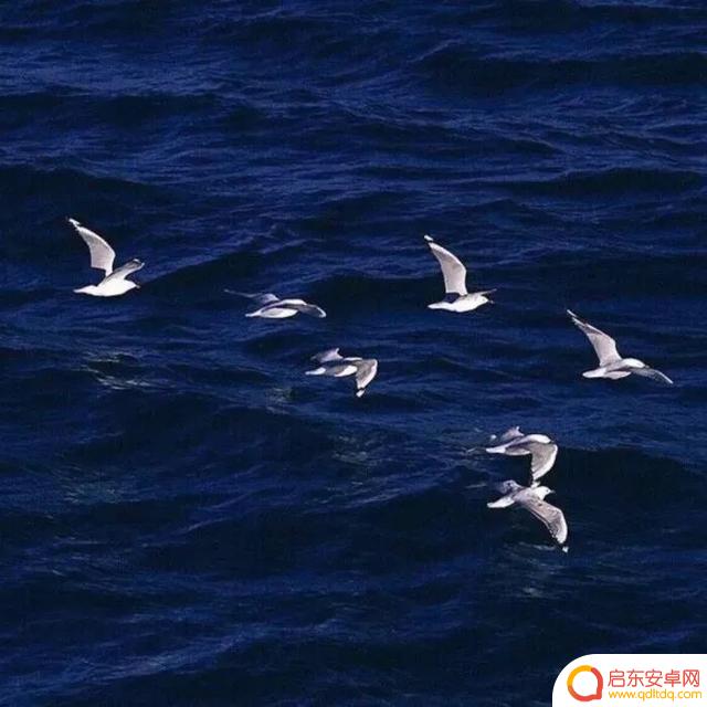 海边风景抖音头像(海边风景微信头像高清图片)