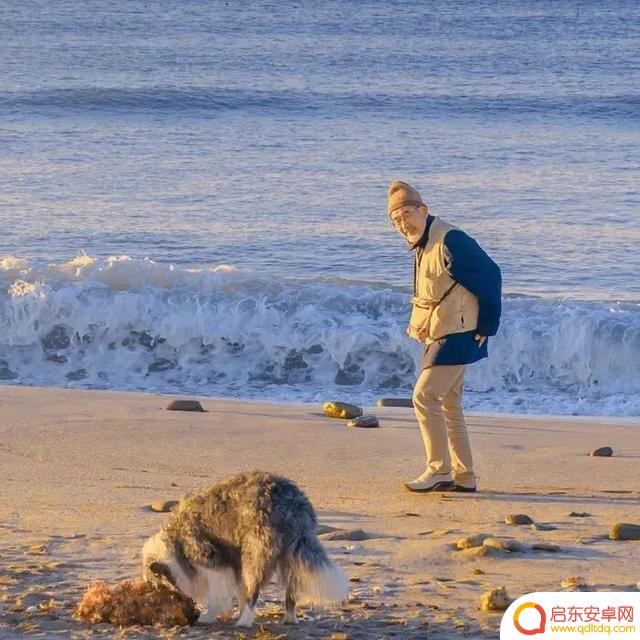 海边风景抖音头像(海边风景微信头像高清图片)
