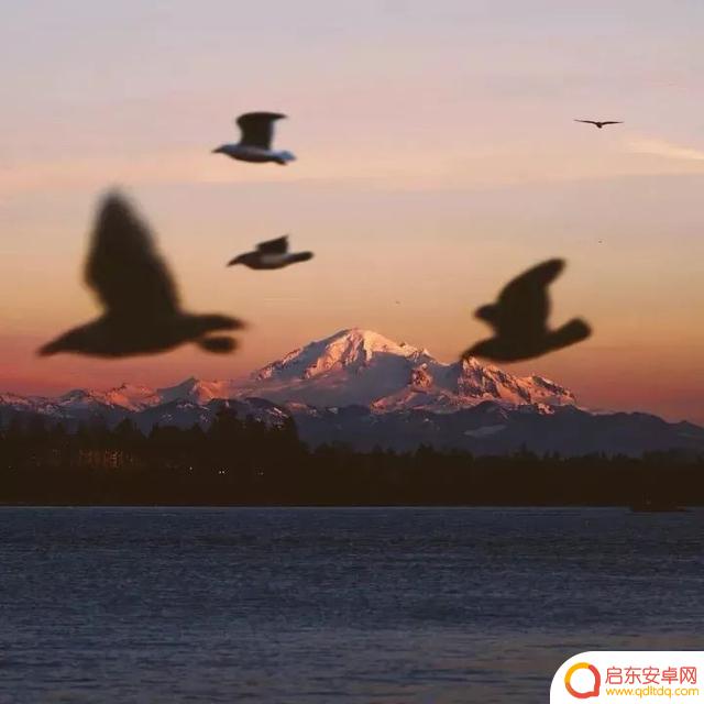 海边风景抖音头像(海边风景微信头像高清图片)