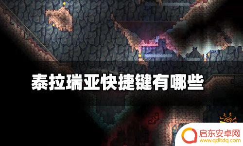 泰拉瑞亚怎么扣键 泰拉瑞亚快捷键设置方法
