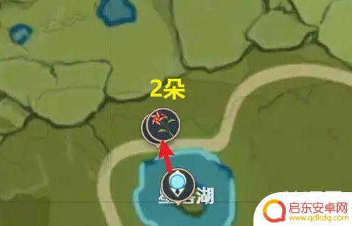 原神风车草分布图 原神风车菊分布图和最佳采集路线