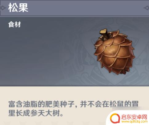 原神哪里卖松果 松果在原神游戏中的购买位置是什么