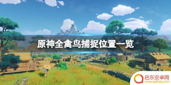 原神禽鸟 《原神》禽鸟捕捉攻略