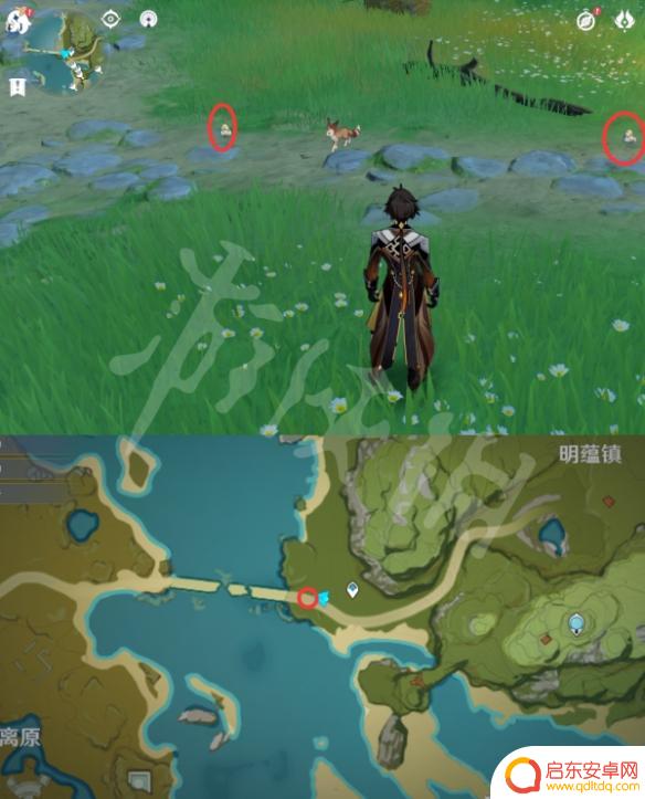 原神禽鸟 《原神》禽鸟捕捉攻略