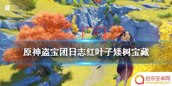 原神红色的叶子怎么获得 《原神手游》红叶子矮树宝藏位置攻略